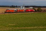 CP 5996